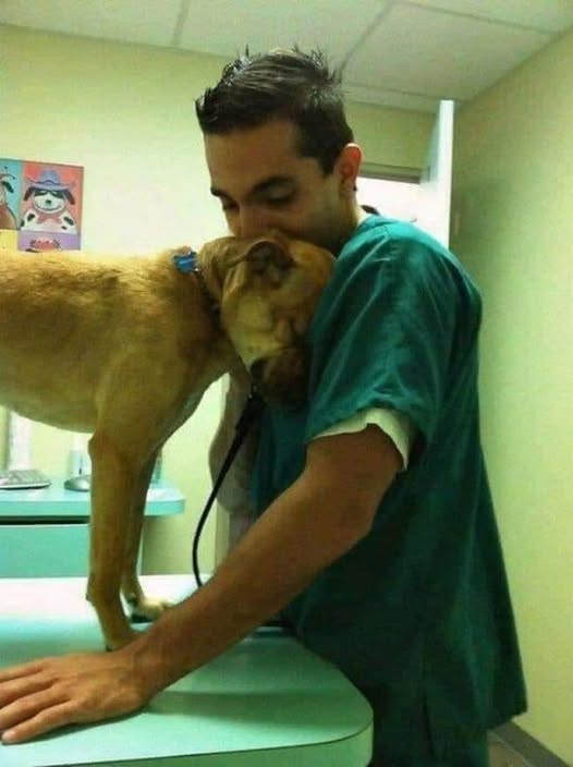 Una historia inesperada: salvar a un cachorro rechazado